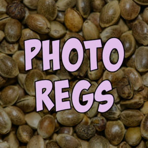 Photo Regs