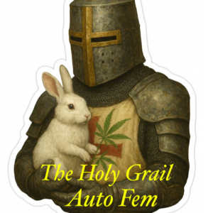 The Holy Grail