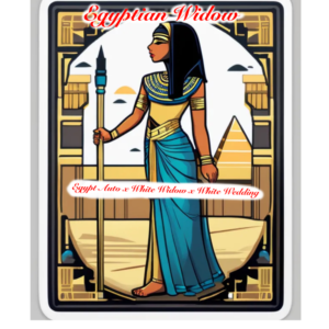 Egyptian Widow